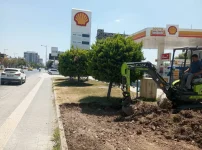 kuru peyzaj 2.webp
