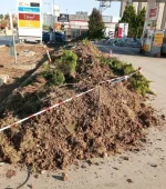 kuru peyzaj 3.webp