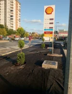 kuru peyzaj 10.webp