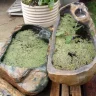 NaturalStonePro