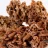 NaturalBuilder